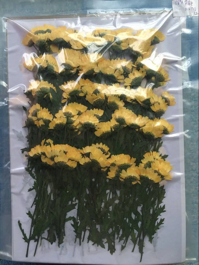 -yellow