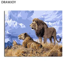 DRAWJOY обрамленные картины живопись и каллиграфия DIY живопись по номерам животных картина маслом домашний Декор стены искусства