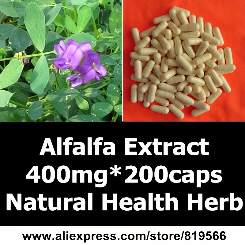 

Natural Medicago Sativa Extract Capsule 400mg*200caps Health Care Herbal Alfalfa P.E. 10:1 Dietary Supplements Medicago Sativa