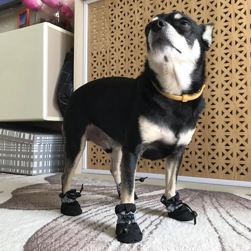 Теплая зимняя обувь Cachorro с противоскользящей подошвой для маленьких собак|Обувь