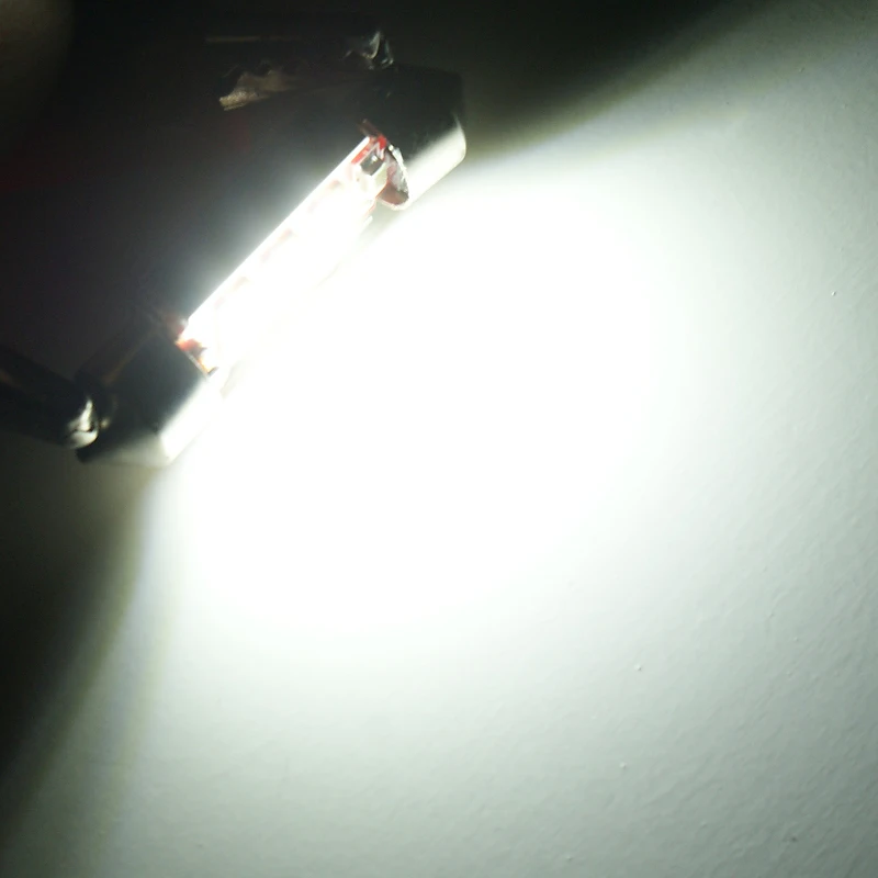 Interior Doem Lamp Bulbs (2)