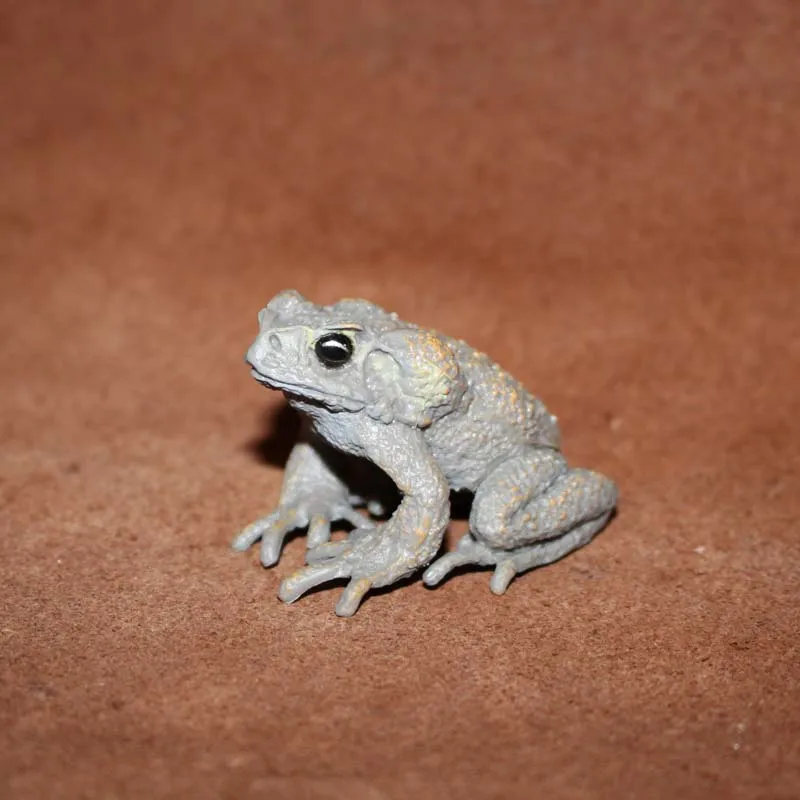 

pvc figure Simulation animal model toy Cane toad frog