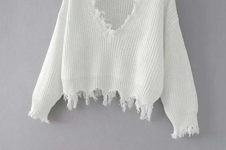 4566960513_1553896200