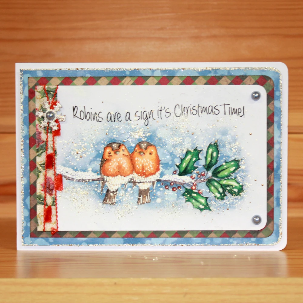 Robins are a sign of Christmas Time