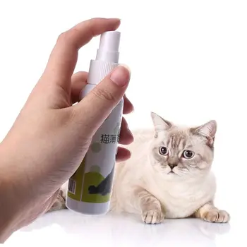 

Cat Catnip Pet Training Toy Natural Healthy Cat Mint Funny Scratch Toy Spray