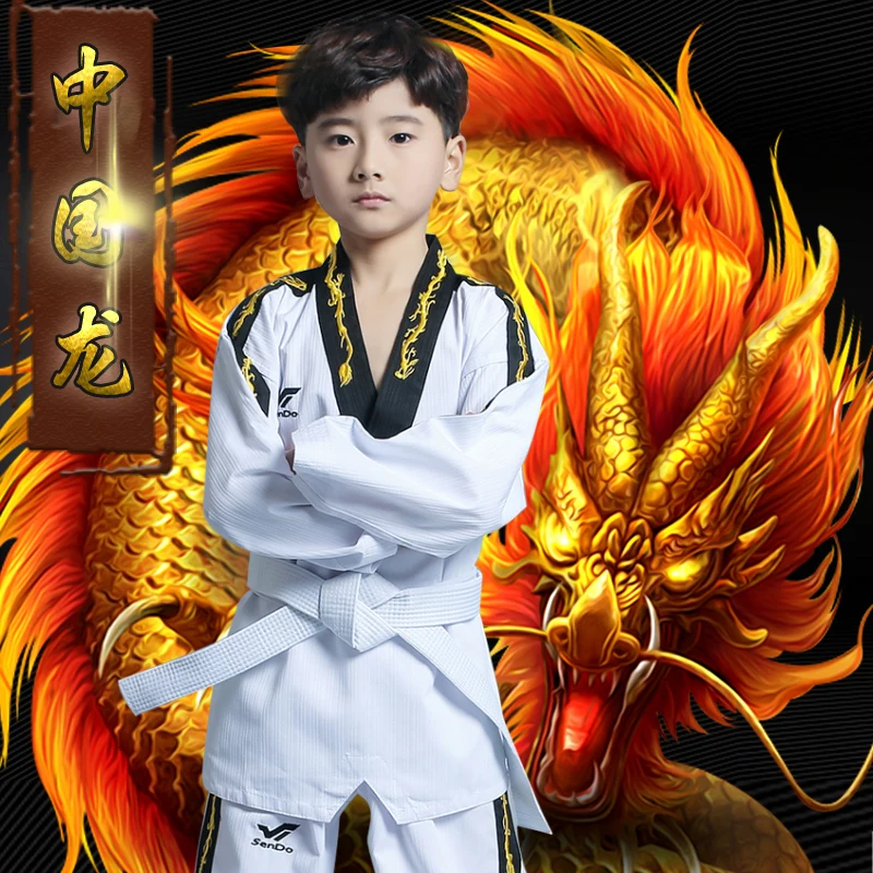 Taekwondo Dragon