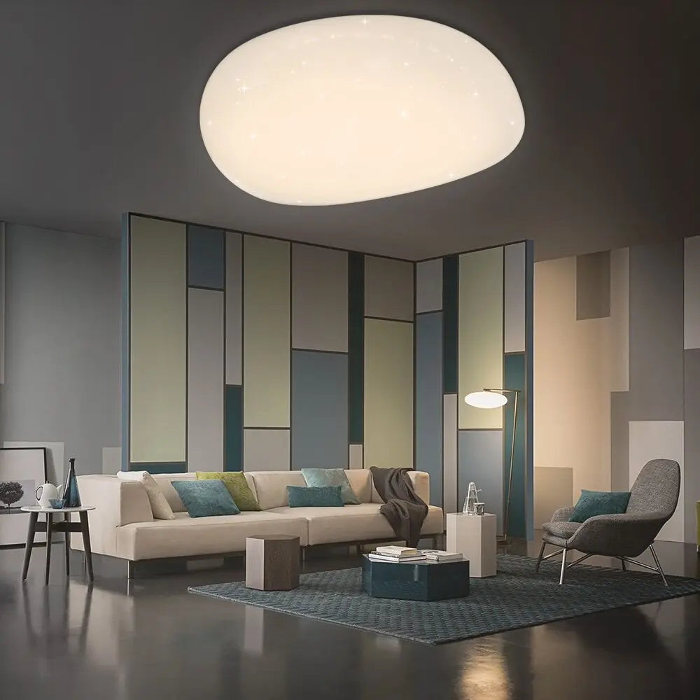 

Modern LED 50W 60W Pebble-shaped Ceiling lamps Indoor lighting fixture star effect Kitchen Bedroom living room Bathroom