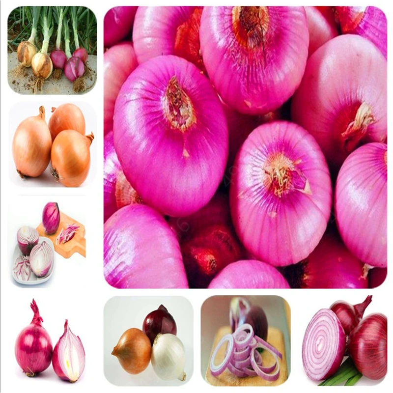 Семена Овощей Без Гмо Купить