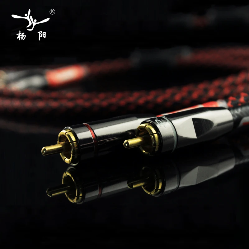 YYAUDIO Canare L 4E6S HIFI RCA кабель SPDIF цифровой аудио кабель/утолщенный настенный Budweiser