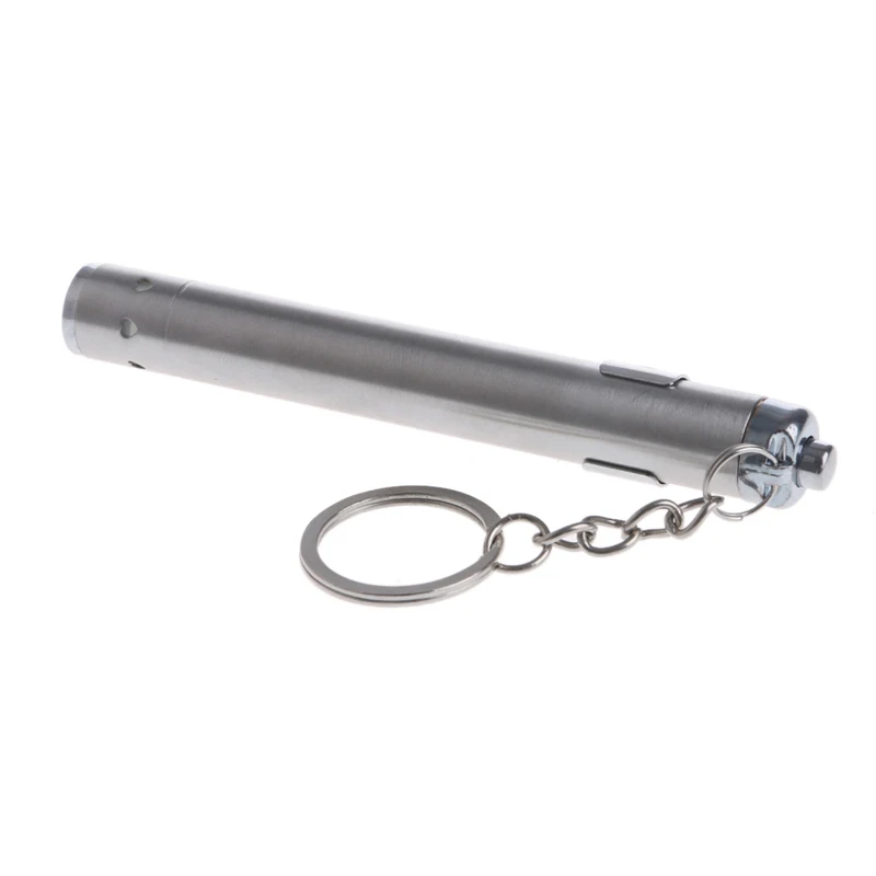 100 Lumens AAA Battery Powered Stainless Steel Mini Pen Light LED Flashlight 