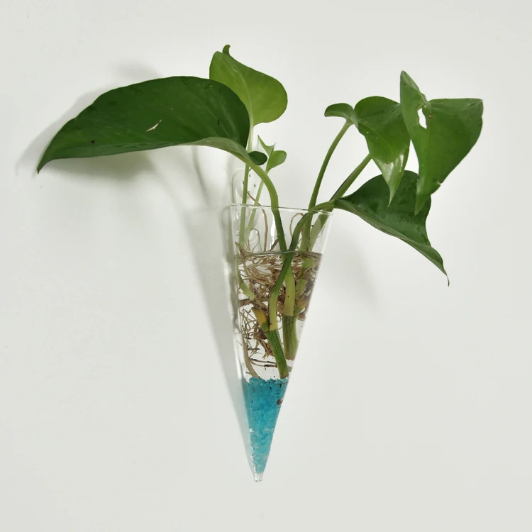 High Borosilicate Cone Shape Glass Vase Air Hydroponic Planter Pot Holder