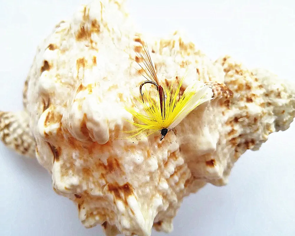 

100PCS Royal Wulff Dry Flies for Trout Fly Fishing Bait Size #10