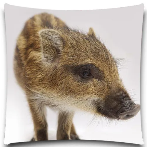 Квадратный чехол для подушки из хлопка и полиэфира 5 размеров 9 видов домашний