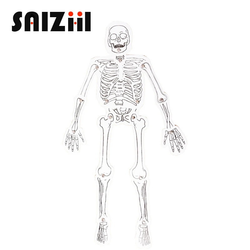 

Saizhi Model Toy Diy Human Skeletal Model Model Developing Intelligent STEM Toy Birthday Gift SZ3217
