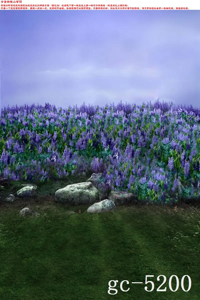 

3*5M Art Cloth Custom Photography Backdrops Prop Indoor theme Studio Background GC-5200