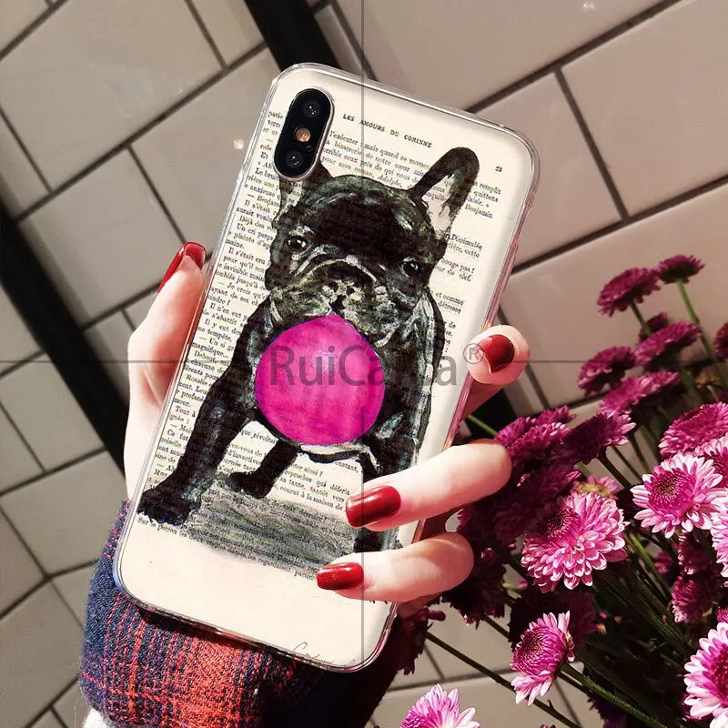 Book newspaper background Cute French Bulldog