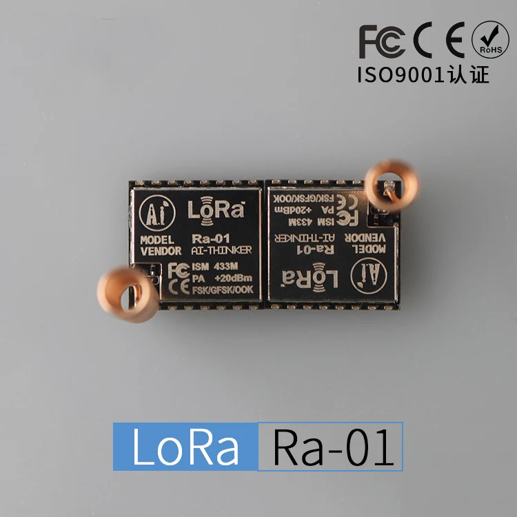 RA-01 2