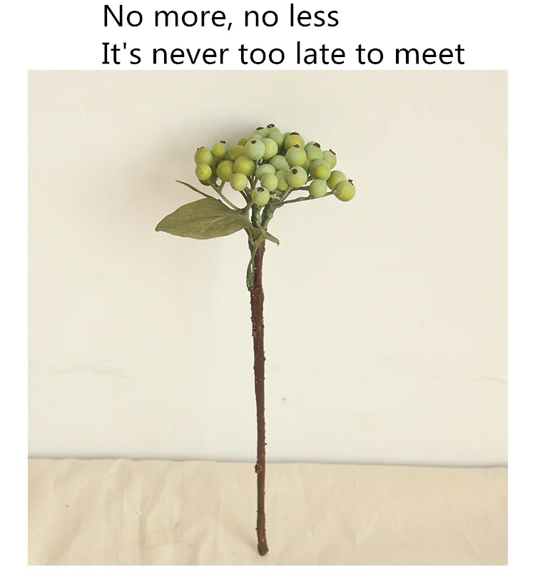 9507204336_1245478559