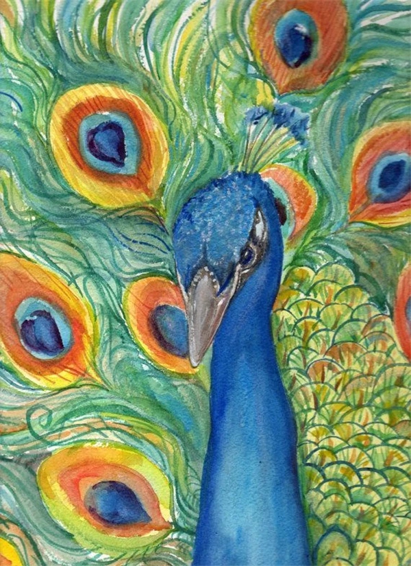 Павлины в живописи. Павлин рисунок. Павлин пастелью. Павлины акрилом. Эбру павлин.