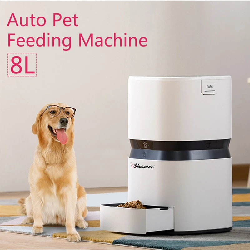 Automatic Dog Feeder 8L/34 Cups - Programmable Timed Cat Feeder With LCD Screen, Large Stainless Steel Bowl, Battery Backup, Voice Recording (White)