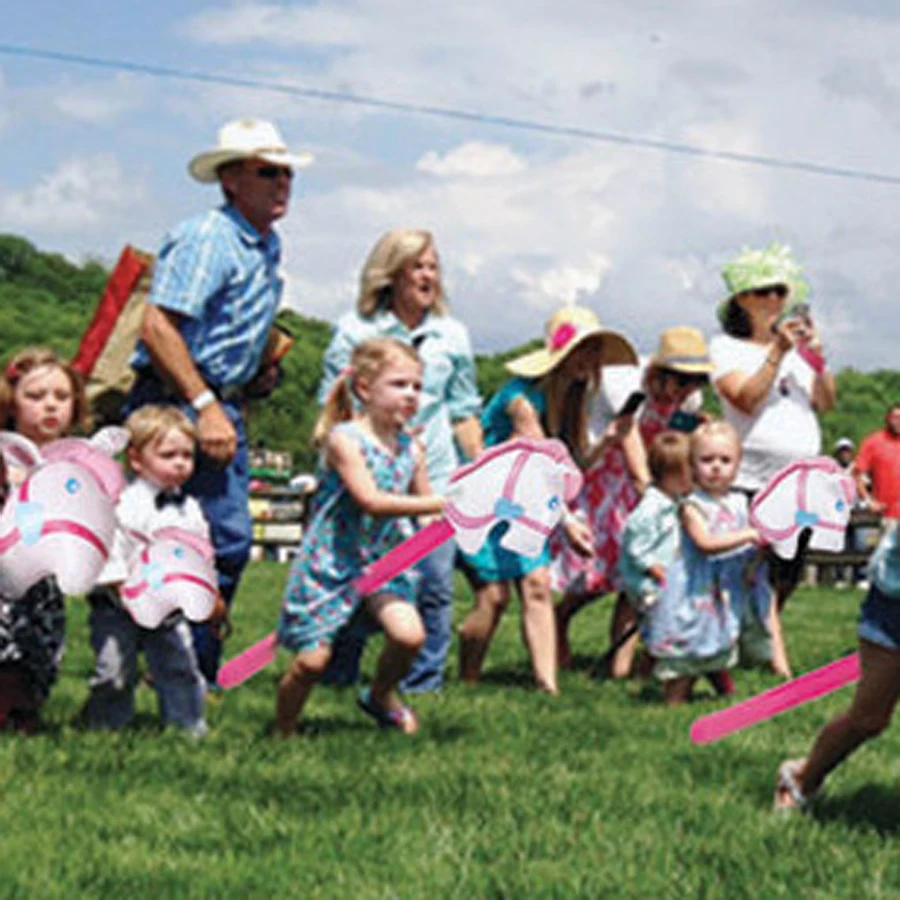 Stick Horses(6)