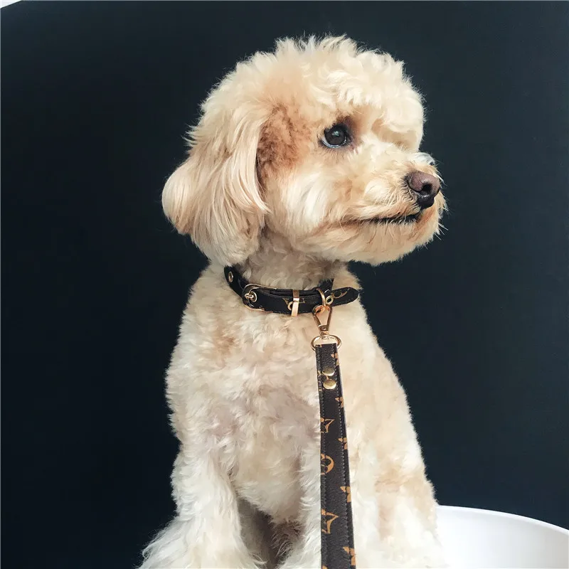 

Luxury Collar for Dogs Pet Cat Leash Necklace Small Dog ID Tag Collar Leash Set High Quality Dog Accessories Pitbull Chihuahua