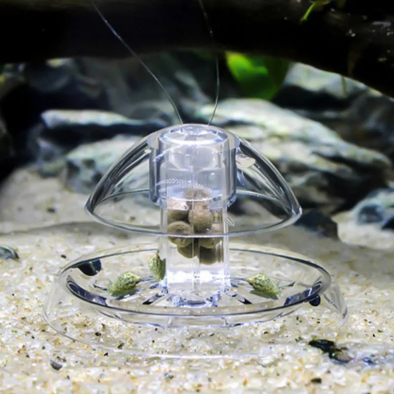 Clear Snail Trap Planarian Leech Catch Environment Aquarium Fish Plant