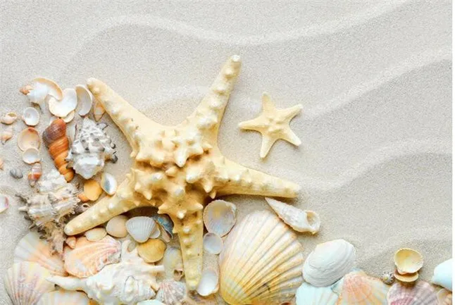 Starfish8