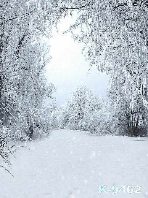 Snow Backgrounds Photography Newborn 200x300cm Winter Theme Vinyl Photo Studio Backdrops Forest Background Aliexpress