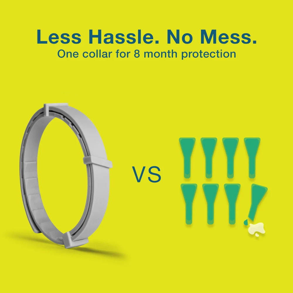 Anti Insect Dog Collar 2 Anti Insect Dog Collar 2
