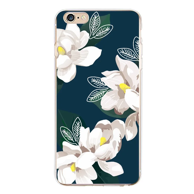 B540