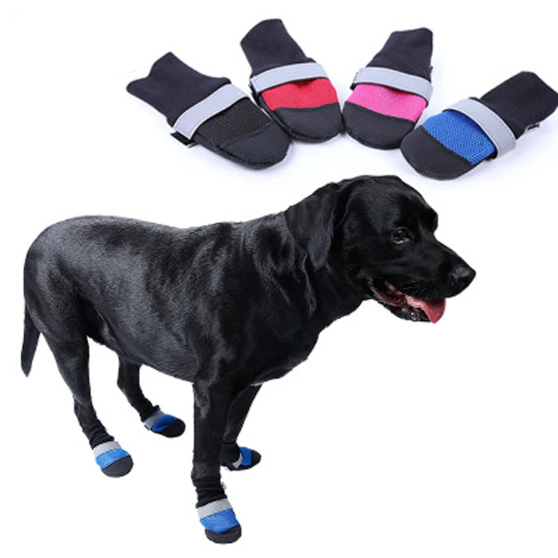 slip on shoes for dog walking