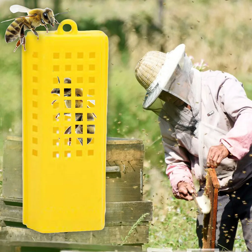 Пластиковая пчела королевская клетка Пчеловодство бамбук многофункциональные пчеловодческие Инструменты 10 шт пчелиная маточная Клеточка