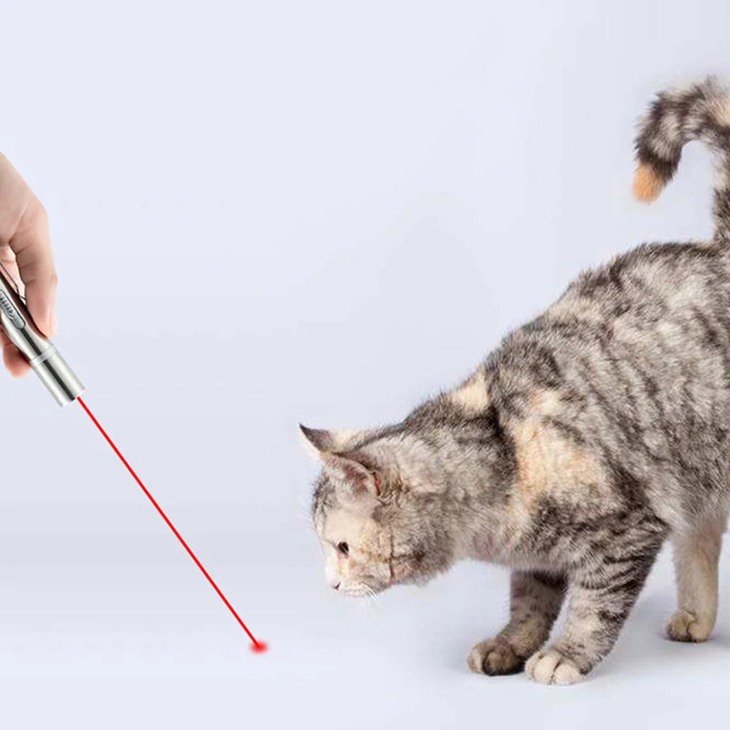

Interactive Pointer Toys Pet Cat Command Light Training Tools with UV Light USB Charging FPing