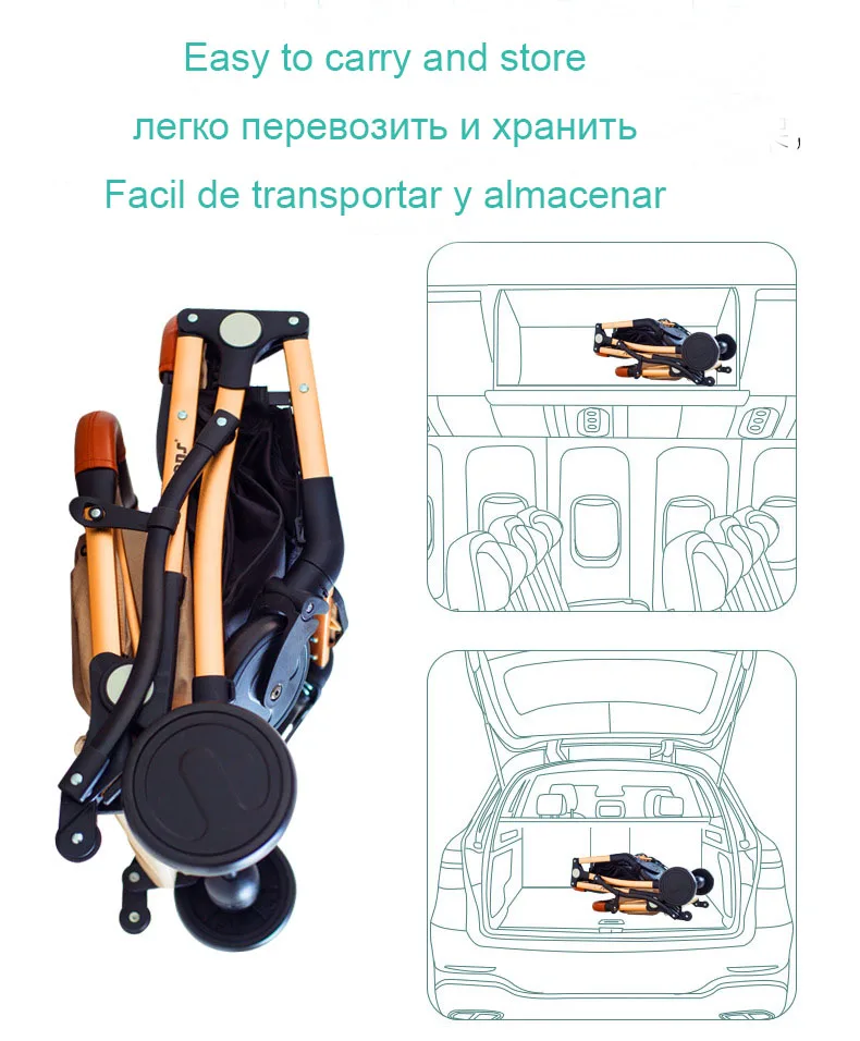 TR-6---PSD