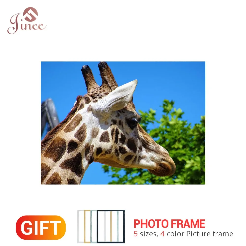 

Giraffe DIY Diamond Painting Framed Animal Dimaond Embroidery Full Round Square Drill Cross Stitch Mosaic Art