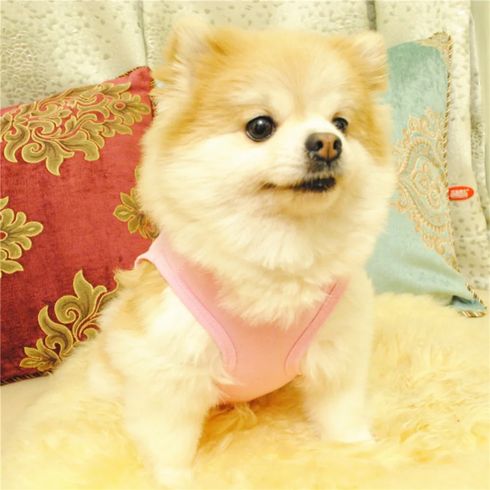 Title 129, Pet Dog Clothes for Dogs Clothing for Small Dog...