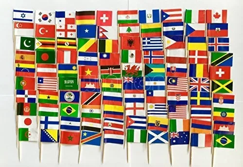world flag toothpick box