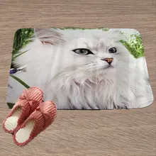 Прекрасная миловидная кошечка с узором дверной коврик напольный ковер для гостиной ковер из полиэстера Противоскользящий коврик для дома украшение