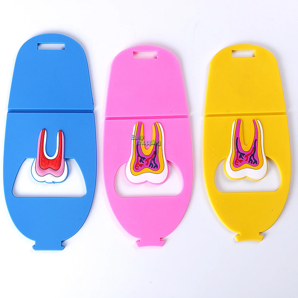 

3pcs Rubber Dental Clinic Tooth Business Name Card Holder Case Display Stand