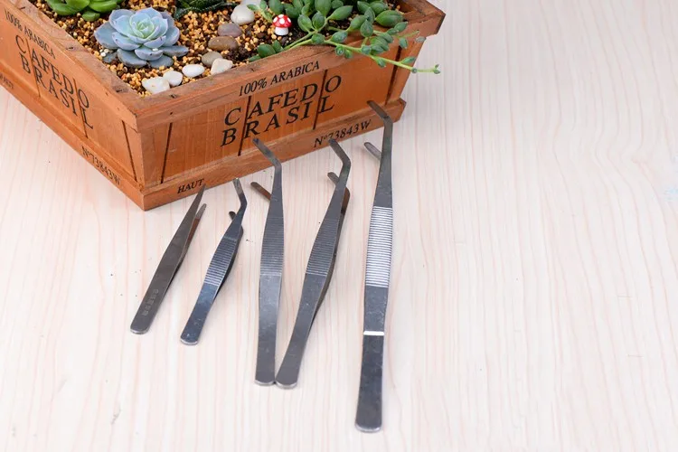 1916580058_393786582