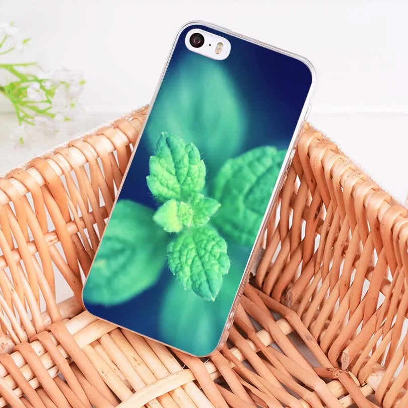 Мягкий прозрачный чехол MaiYaCa для iPhone X 6 6s 7 7plus 8 8Plus 11pro max5S 11pro|Бамперы| |