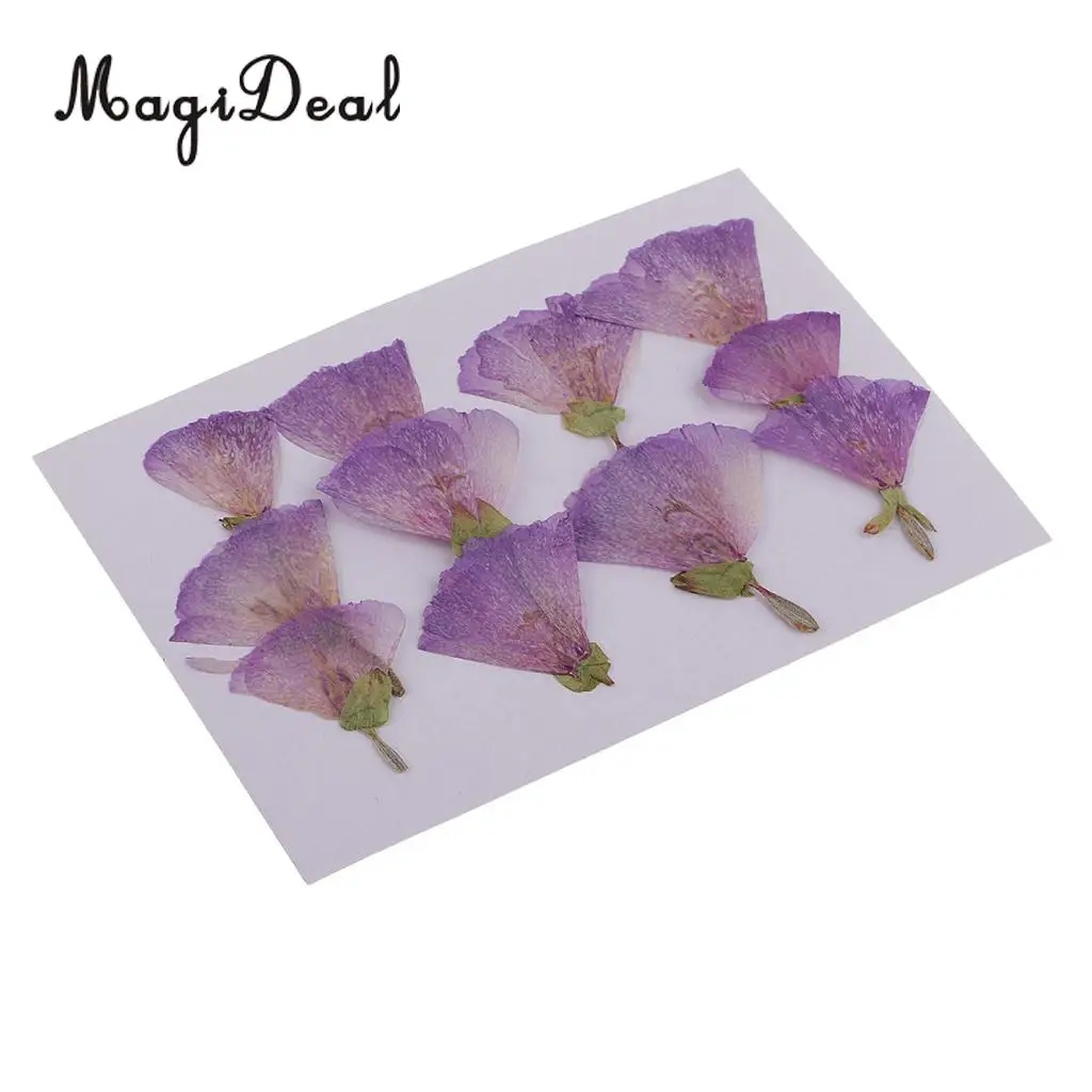 12pcs Beautiful Godetia Real Pressed Natural Dried Flowers for Art Craft Scrapbooking Card Making Resin Jewelry Making Craft DIY