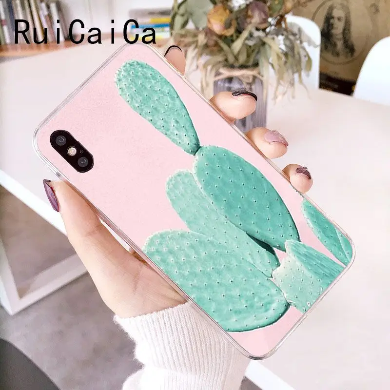 Candy Color Art Cactus Plant