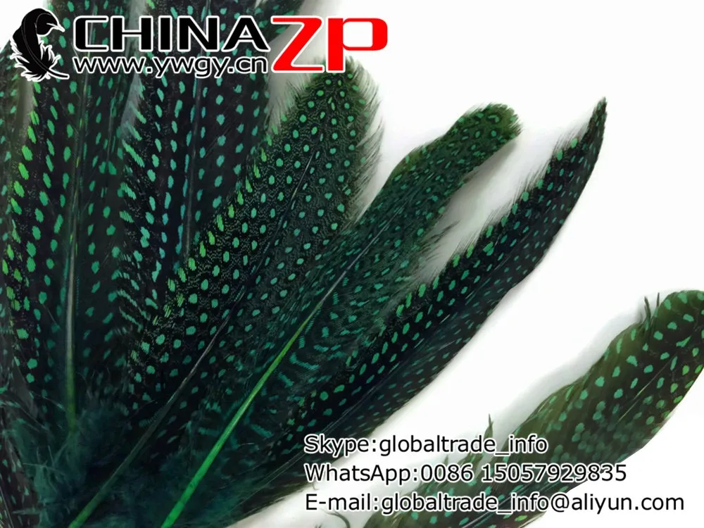 GREEN Polka Dot Guinea Fowl Wing quills Feathers 10 Pieces