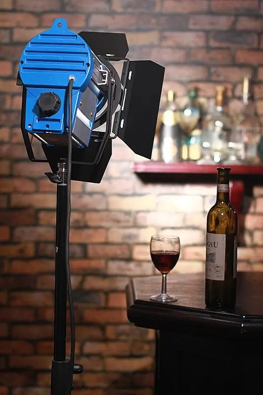 PRO 300W Fresnel Tungsten Light 300 watts bulb for photo film