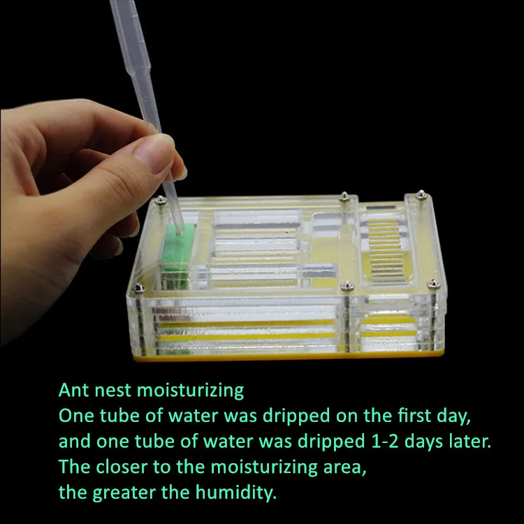 Ant feeding box acrylic ant nest ant ornamental box pet ant nest ant home transparent ant nest (4)