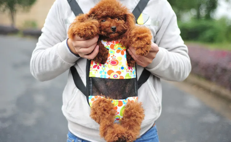 Рюкзак для домашних животных мягкая нагрудная сумка из парусины сумка для переноски собак многофункциональная Передняя сумка для собак портативный рюкзак ножки вид спереди