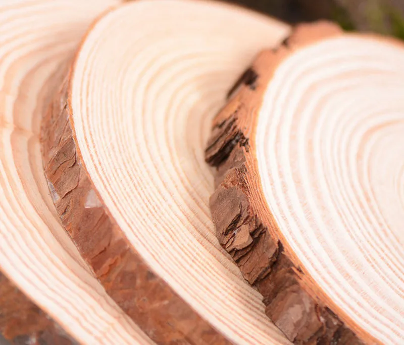 Set of 10 Natural Pine Wooden Chips Country Wedding Decoration Craft Rustic Wedding Centerpieces Wood Cut Pieces (1)