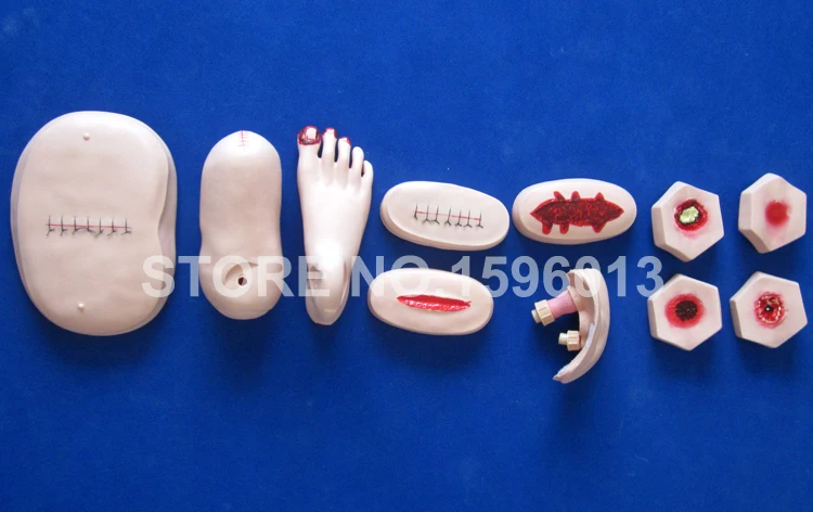 2300 Nursing Manikin  (4)
